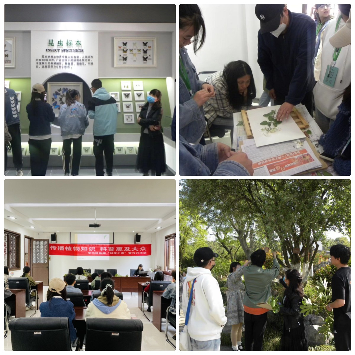 学院组织学生赴宝鸡市植物园参观学习